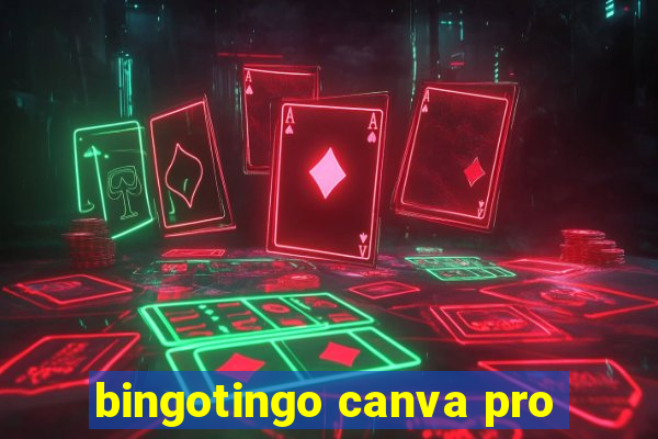 bingotingo canva pro